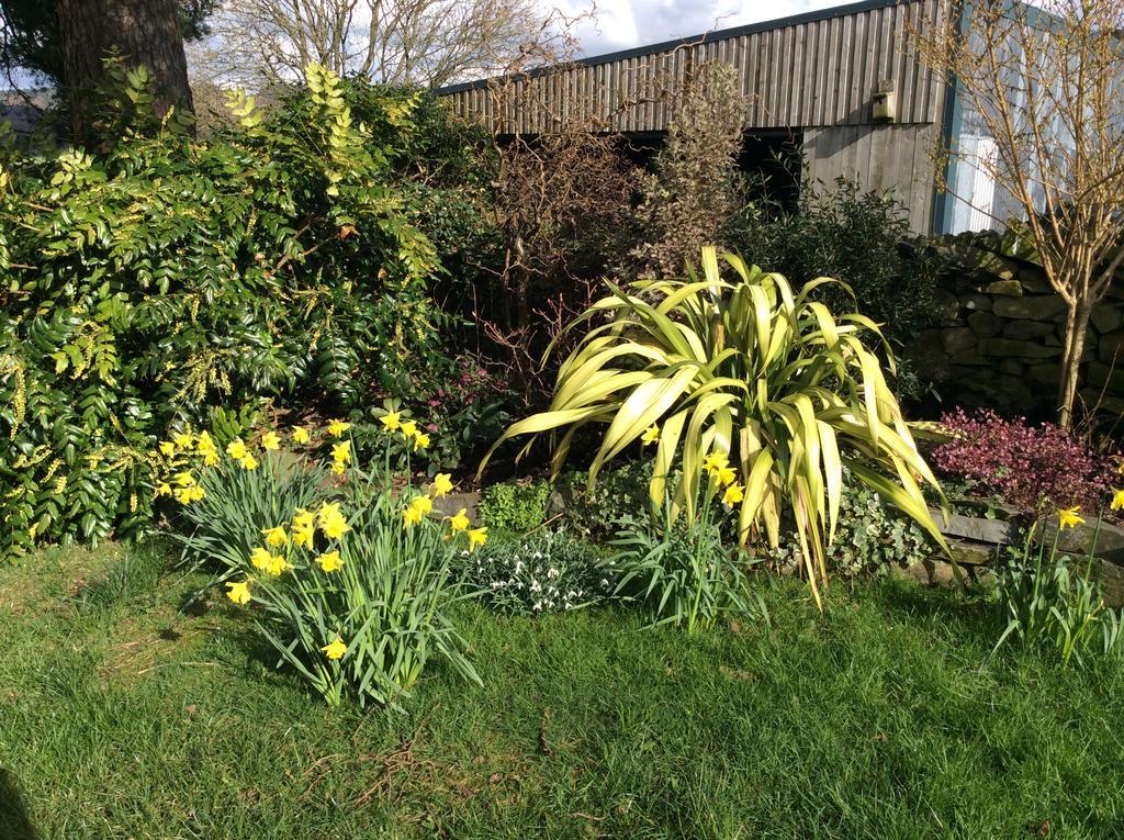 Crosslands Farm Otel Kendal Dış mekan fotoğraf